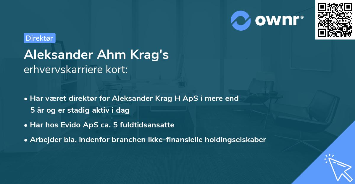 Aleksander Ahm Krag's erhvervskarriere kort