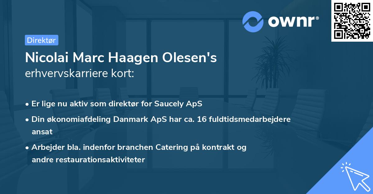 Nicolai Marc Haagen Olesen's erhvervskarriere kort