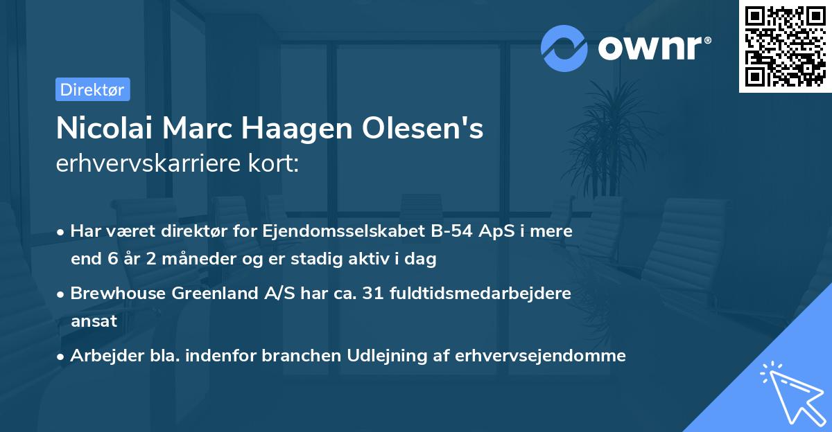 Nicolai Marc Haagen Olesen's erhvervskarriere kort