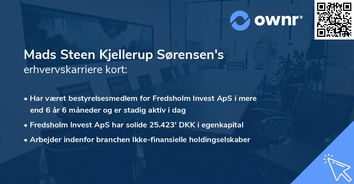 Mads Steen Kjellerup Sørensen's erhvervskarriere kort