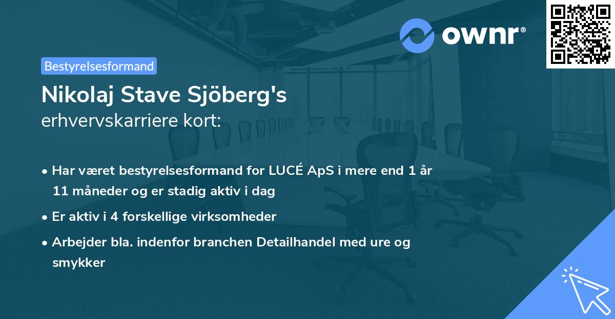 Nikolaj Stave Sjöberg's erhvervskarriere kort