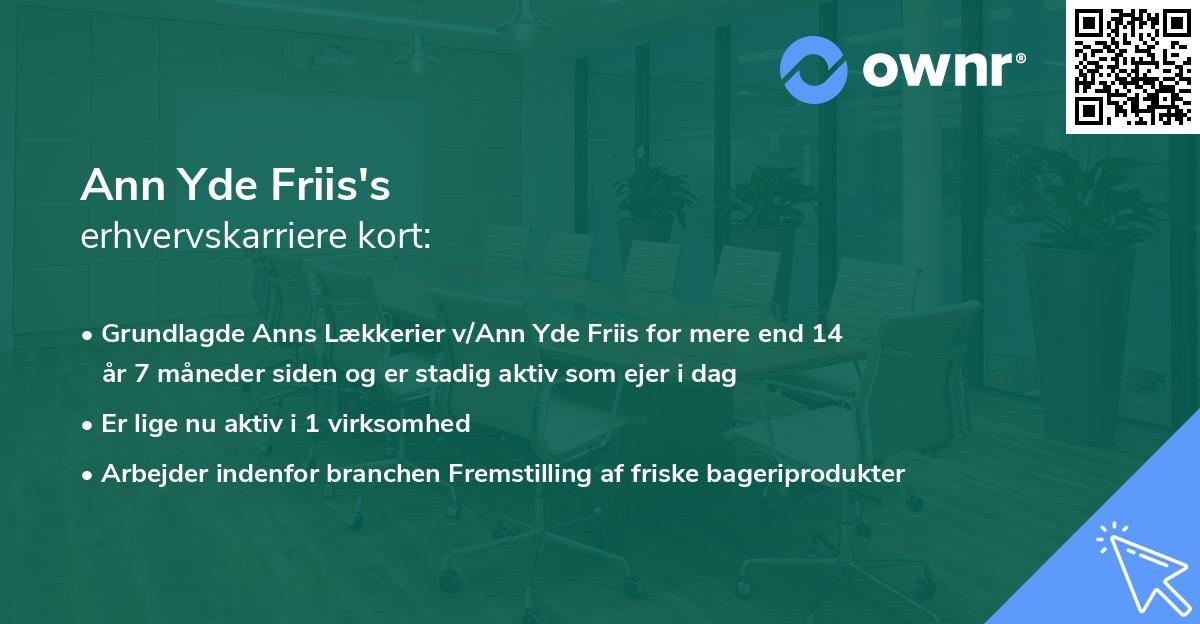 Ann Yde Friis's erhvervskarriere kort