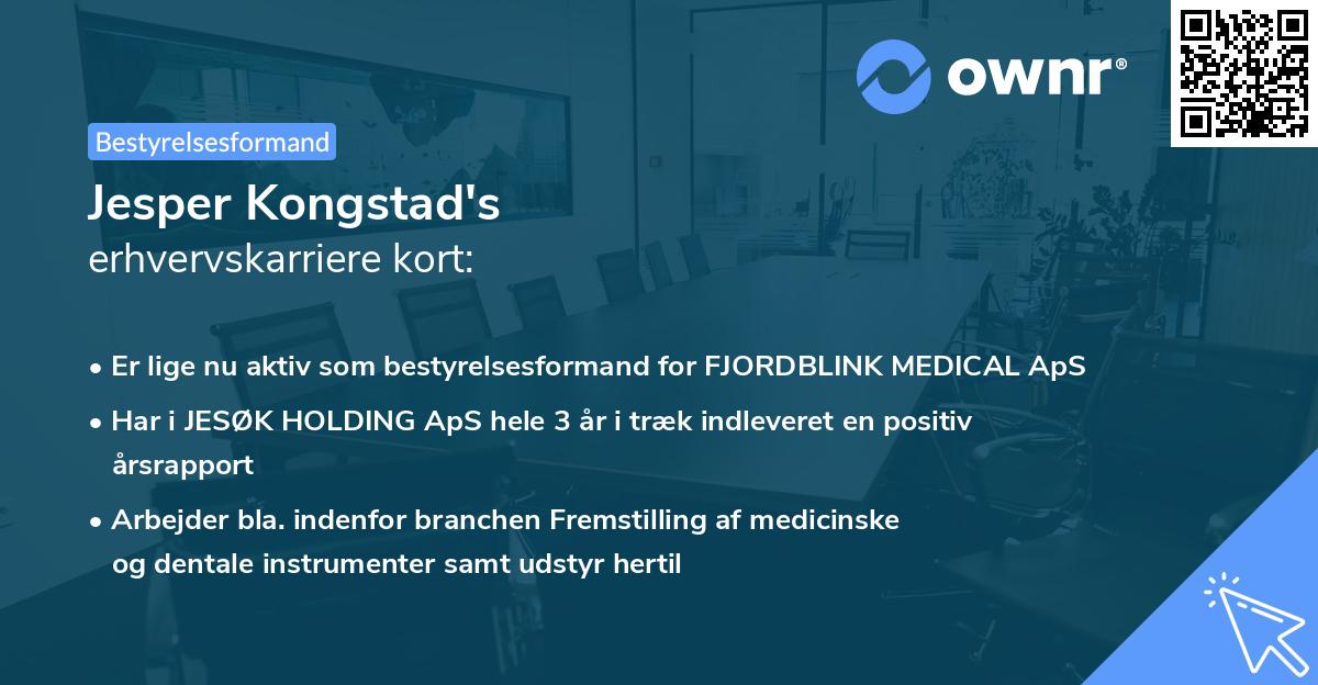 Jesper Kongstad's erhvervskarriere kort