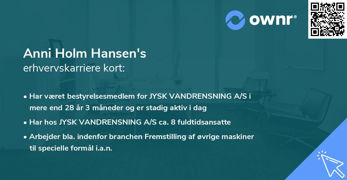 Anni Holm Hansen's erhvervskarriere kort