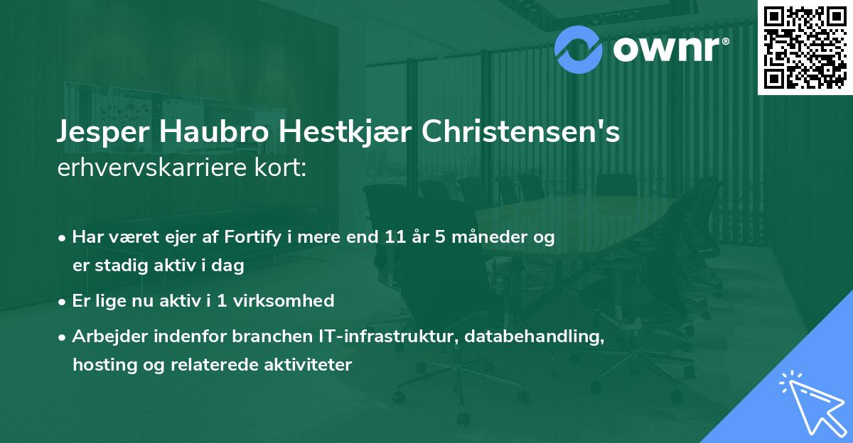 Jesper Haubro Hestkjær Christensen's erhvervskarriere kort
