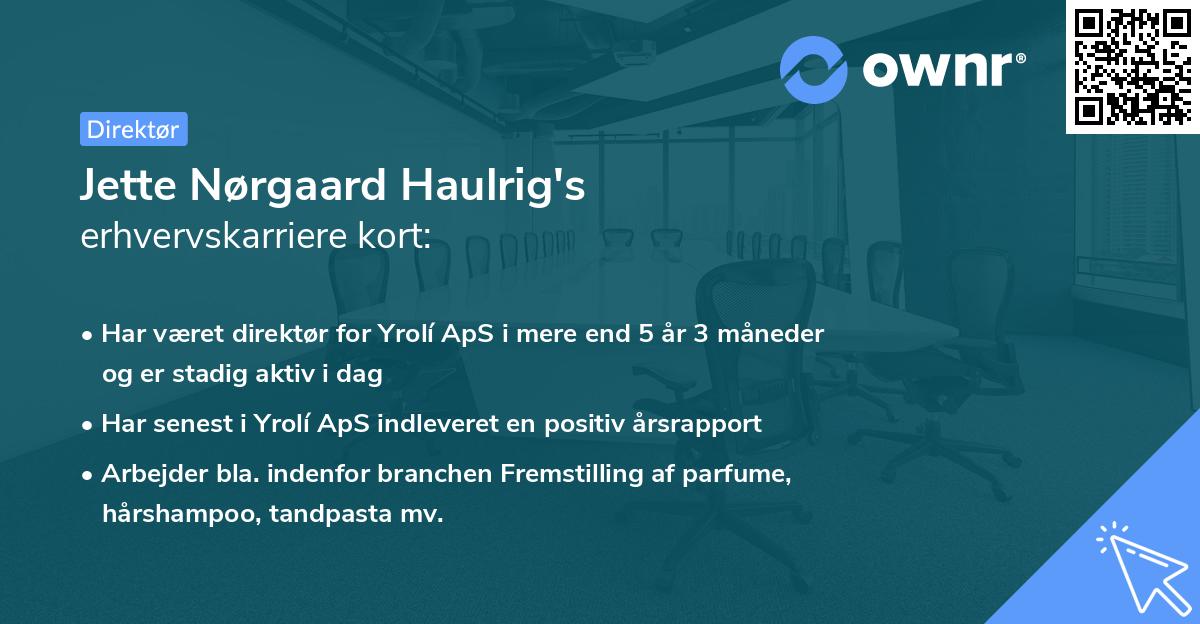 Jette Nørgaard Haulrig's erhvervskarriere kort