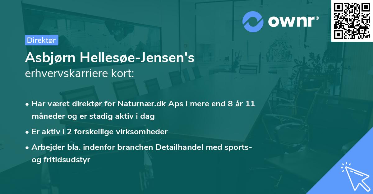 Asbjørn Hellesøe-Jensen's erhvervskarriere kort