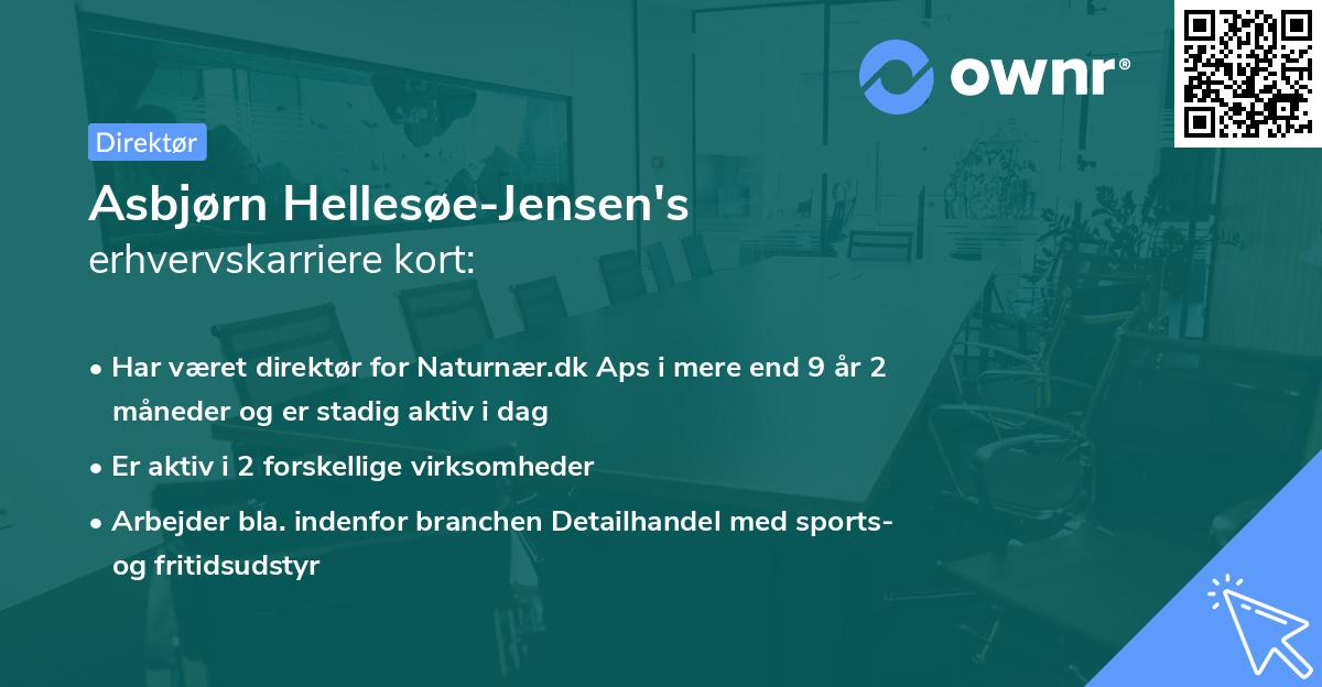 Asbjørn Hellesøe-Jensen's erhvervskarriere kort