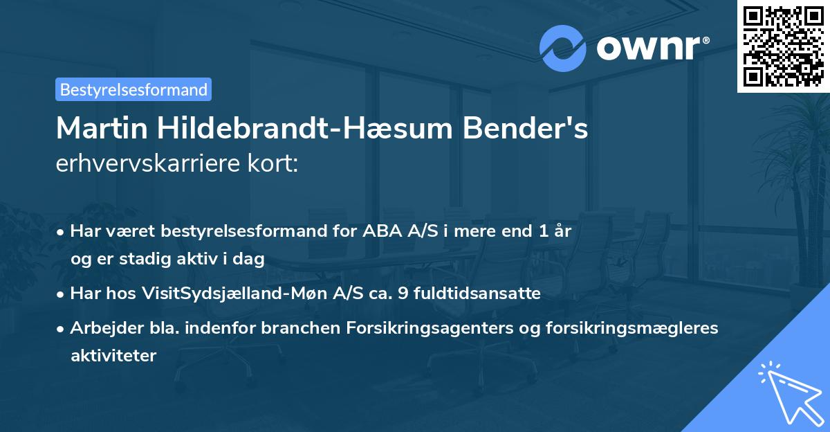 Martin Hildebrandt-Hæsum Bender's erhvervskarriere kort