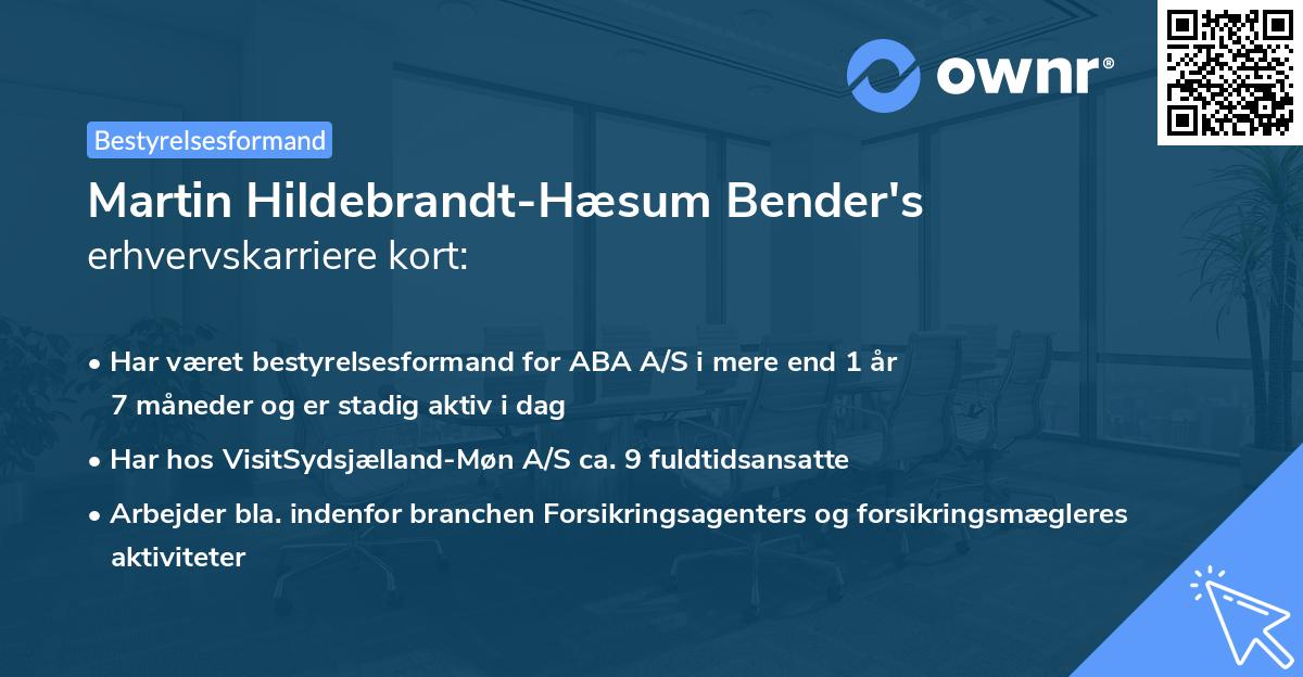 Martin Hildebrandt-Hæsum Bender's erhvervskarriere kort