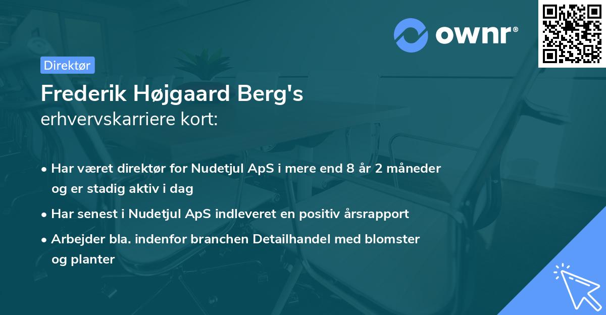 Frederik Højgaard Berg's erhvervskarriere kort