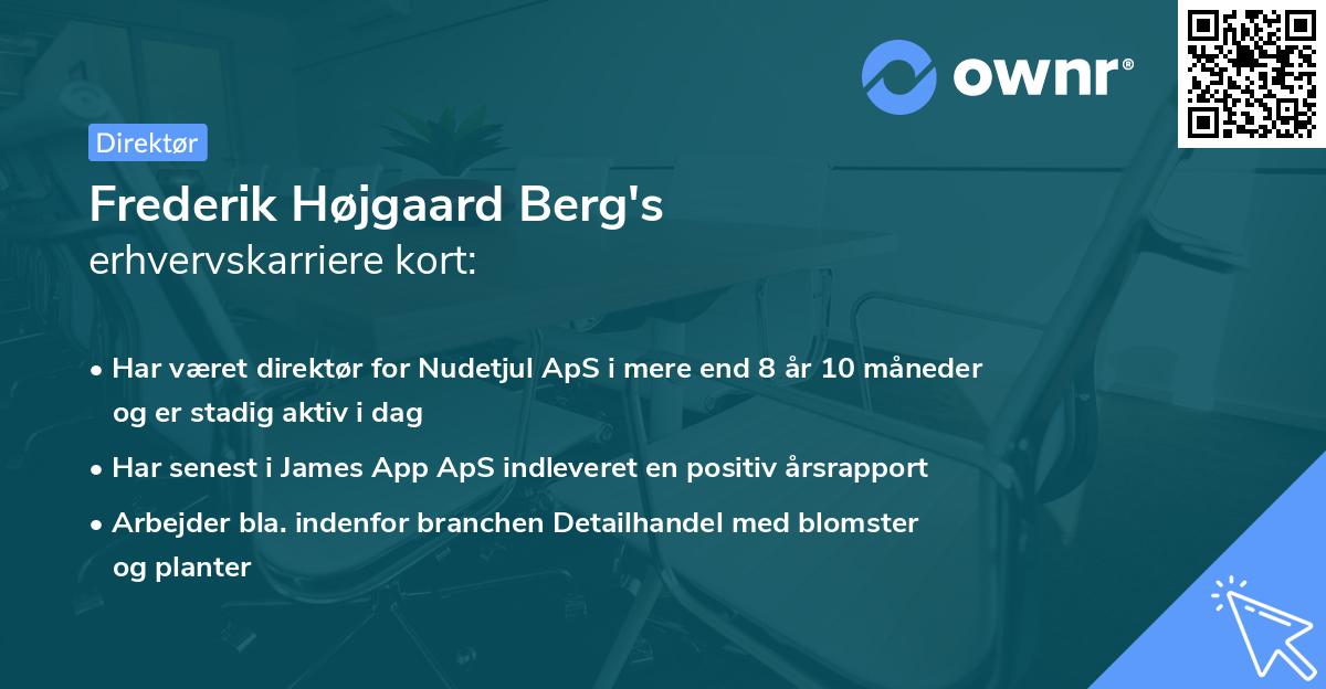 Frederik Højgaard Berg's erhvervskarriere kort