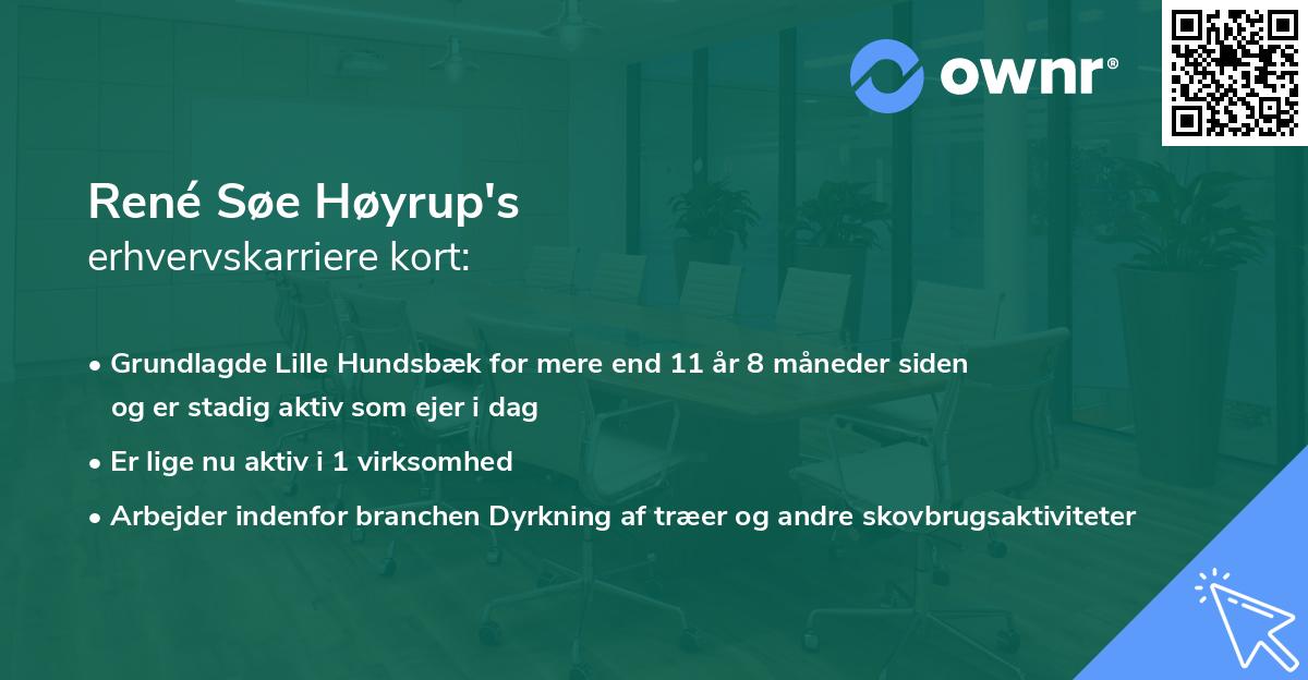 René Søe Høyrup's erhvervskarriere kort