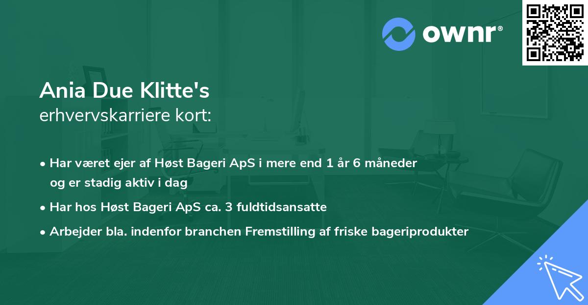 Ania Due Klitte's erhvervskarriere kort