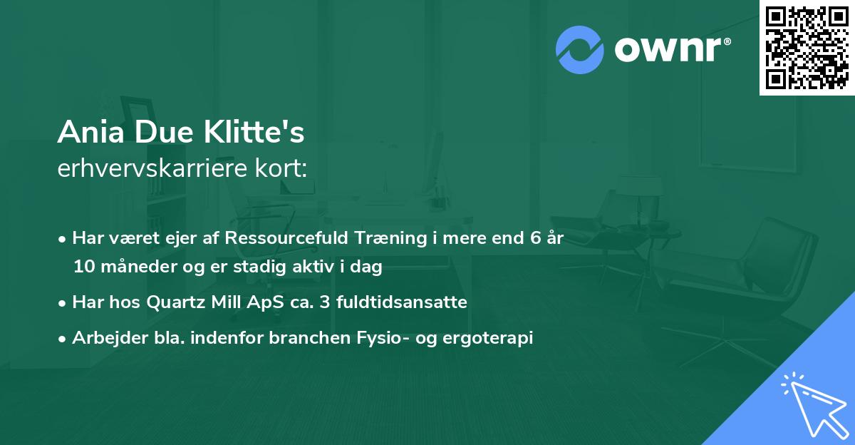 Ania Due Klitte's erhvervskarriere kort