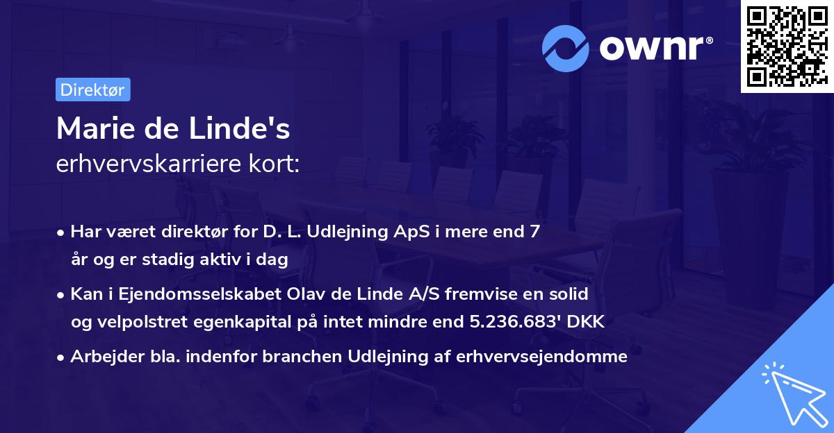 Marie de Linde's erhvervskarriere kort