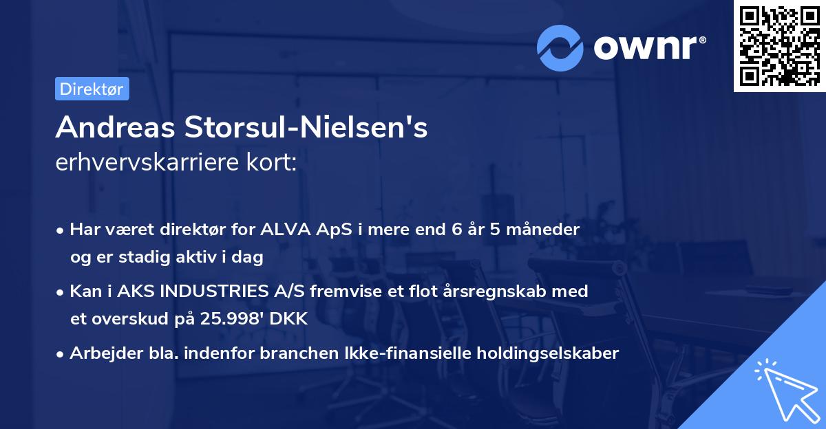 Andreas Storsul-Nielsen's erhvervskarriere kort