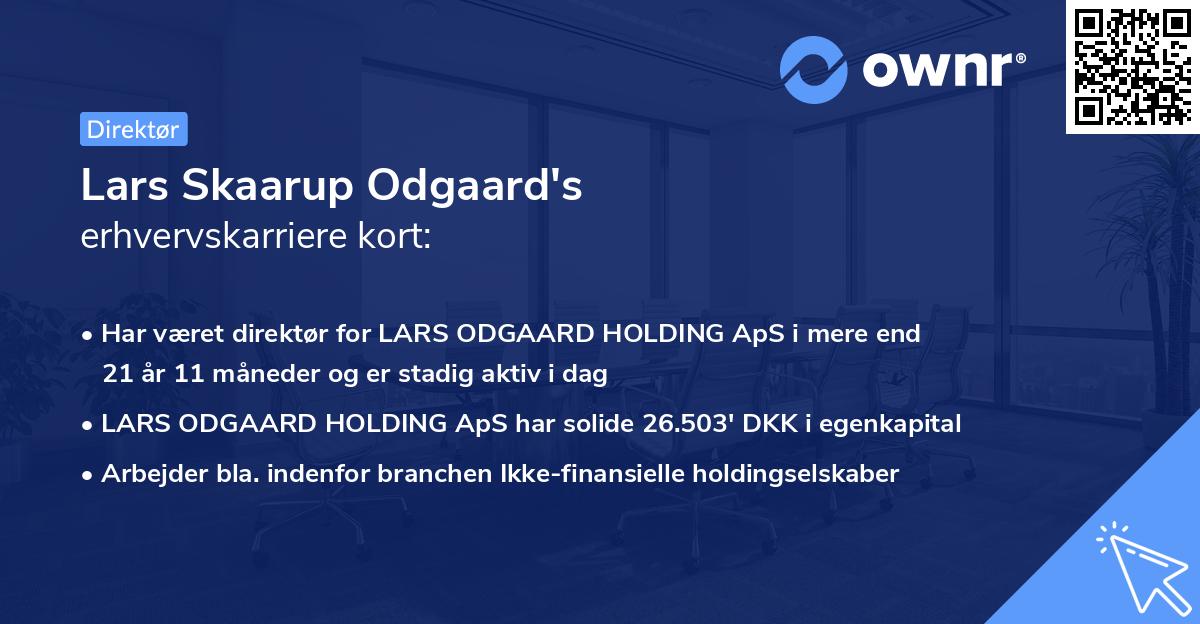 Lars Skaarup Odgaard's erhvervskarriere kort
