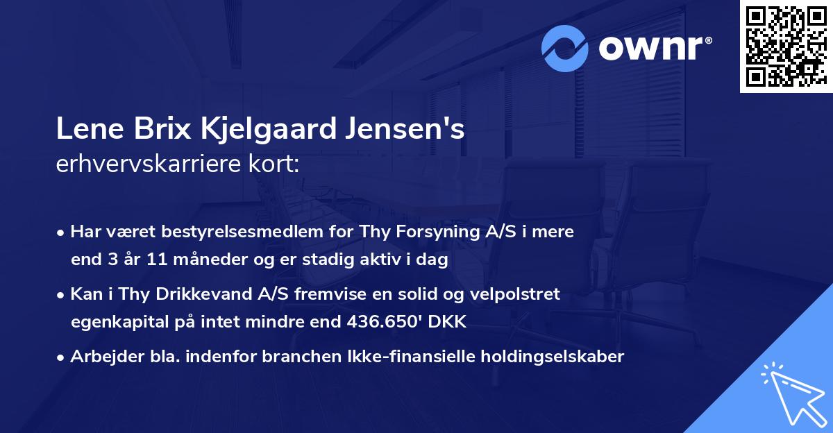 Lene Brix Kjelgaard Jensen's erhvervskarriere kort