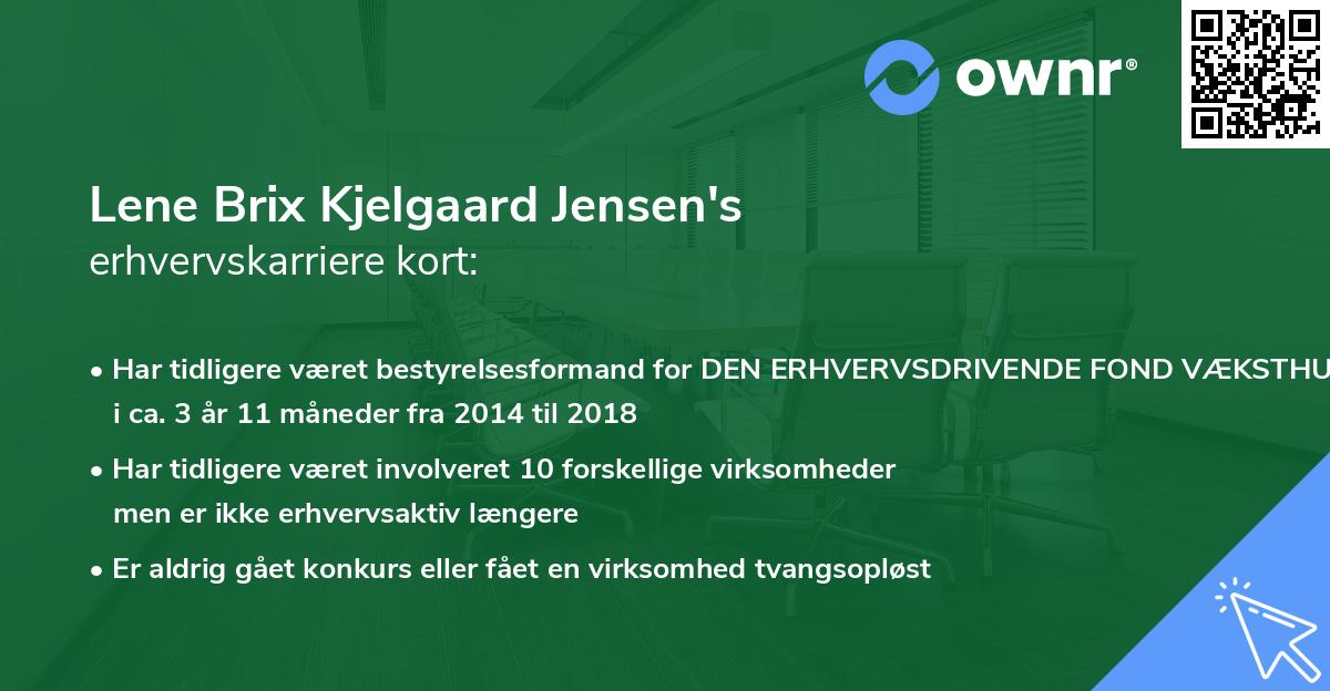 Lene Brix Kjelgaard Jensen's erhvervskarriere kort