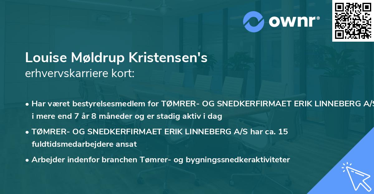 Louise Møldrup Kristensen's erhvervskarriere kort