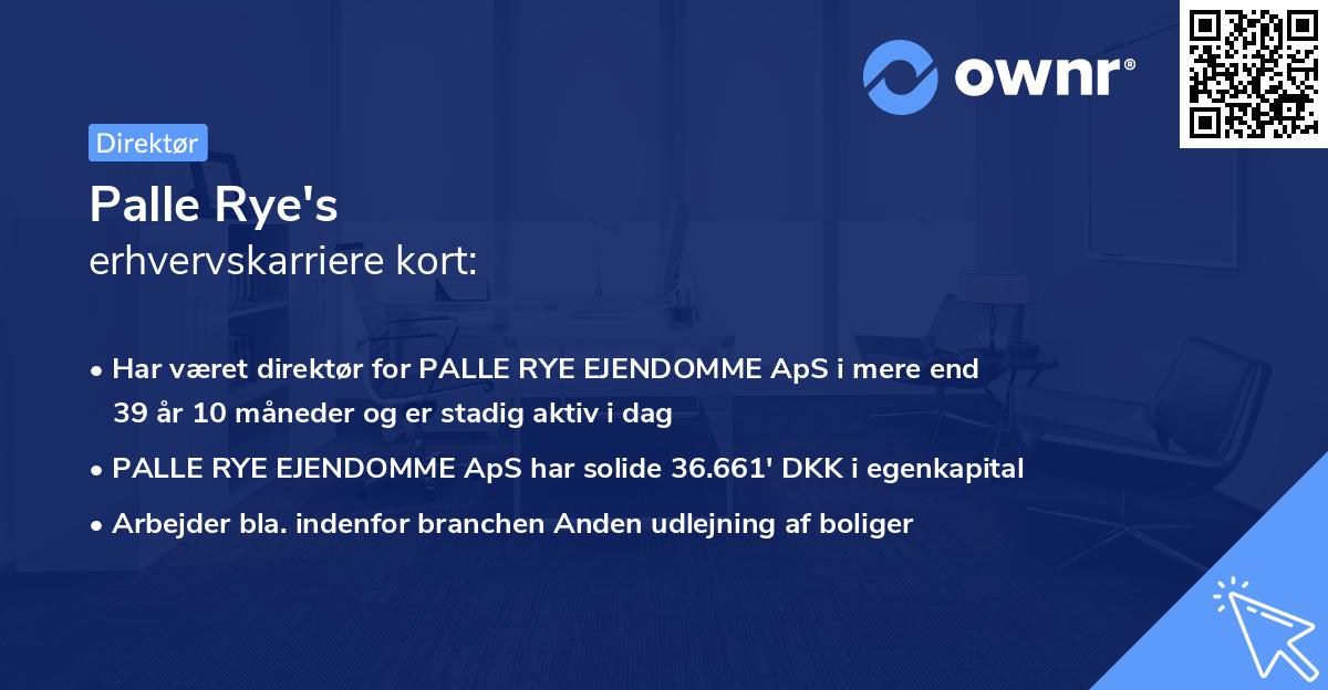 Palle Rye's erhvervskarriere kort