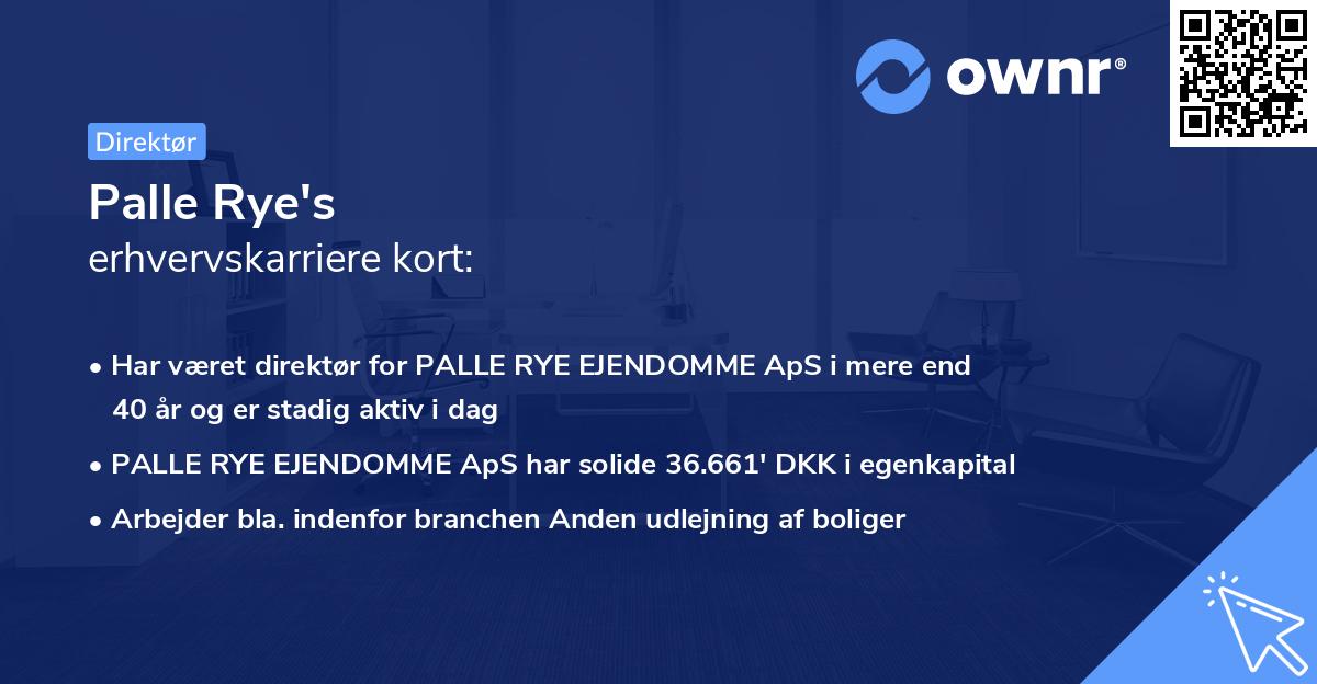Palle Rye's erhvervskarriere kort