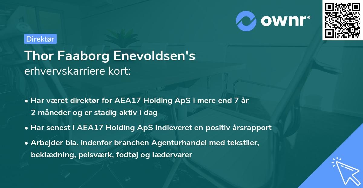 Thor Faaborg Enevoldsen's erhvervskarriere kort