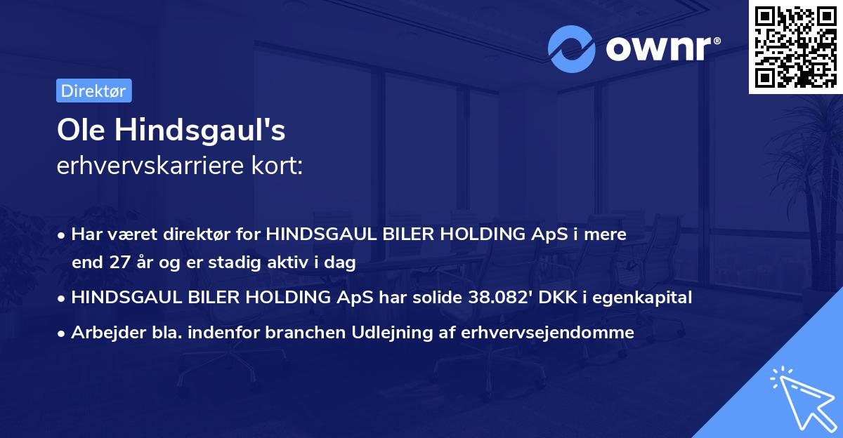 Ole Hindsgaul's erhvervskarriere kort