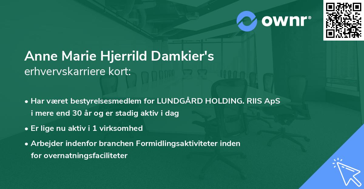 Anne Marie Hjerrild Damkier's erhvervskarriere kort