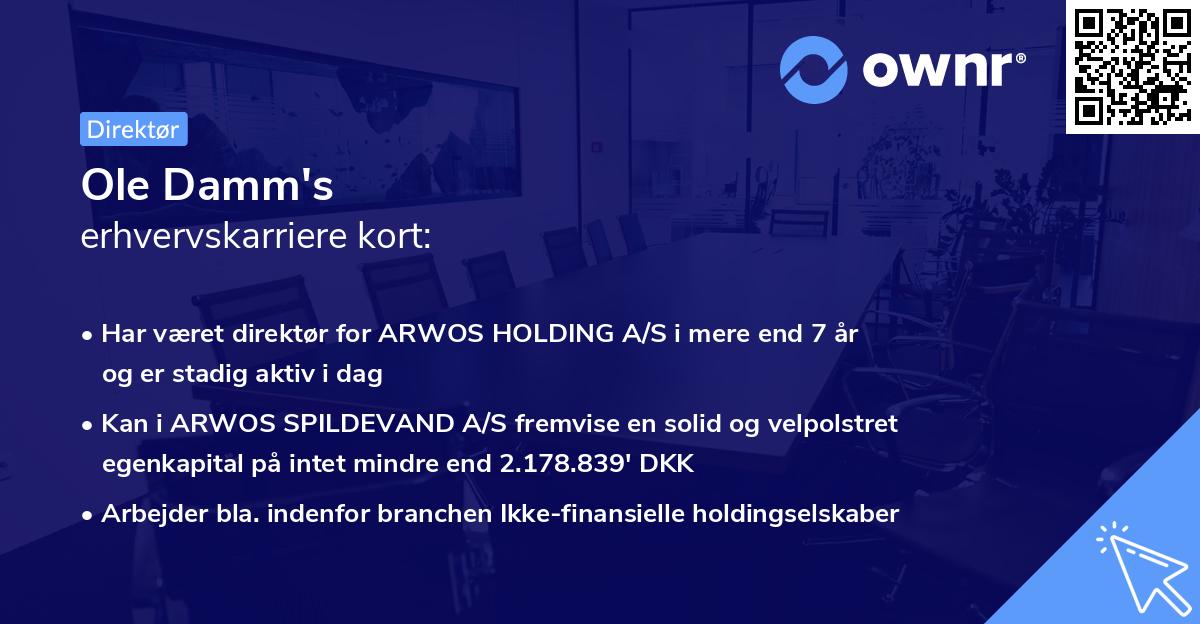 Ole Damm's erhvervskarriere kort