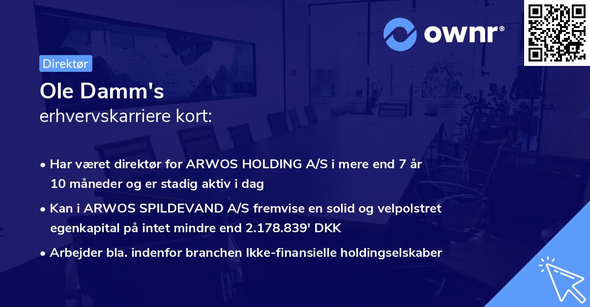 Ole Damm's erhvervskarriere kort