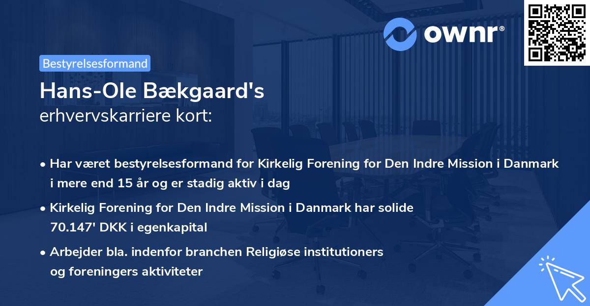 Hans-Ole Bækgaard's erhvervskarriere kort