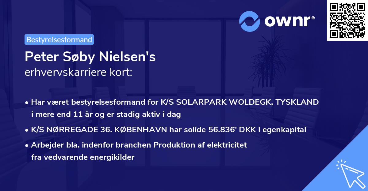 Peter Søby Nielsen's erhvervskarriere kort