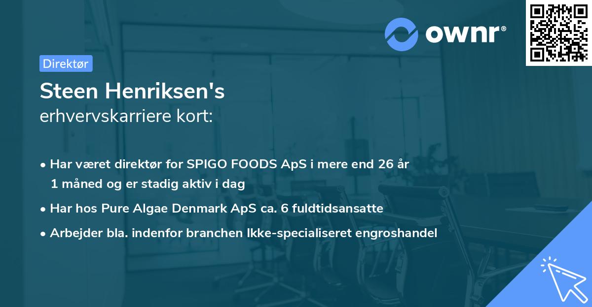 Steen Henriksen's erhvervskarriere kort