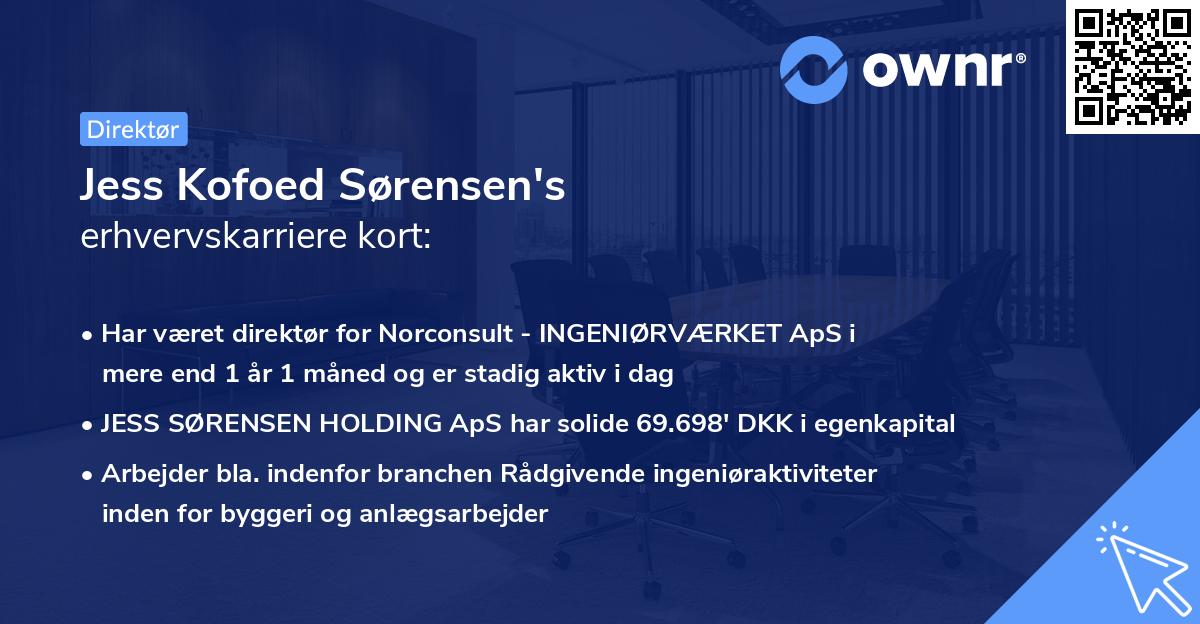 Jess Kofoed Sørensen's erhvervskarriere kort
