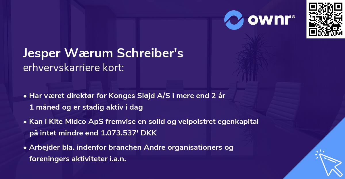 Jesper Wærum Schreiber's erhvervskarriere kort