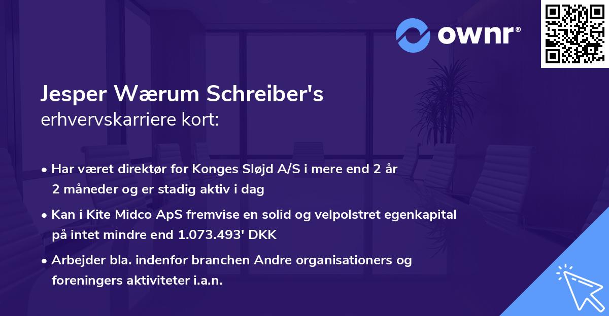 Jesper Wærum Schreiber's erhvervskarriere kort