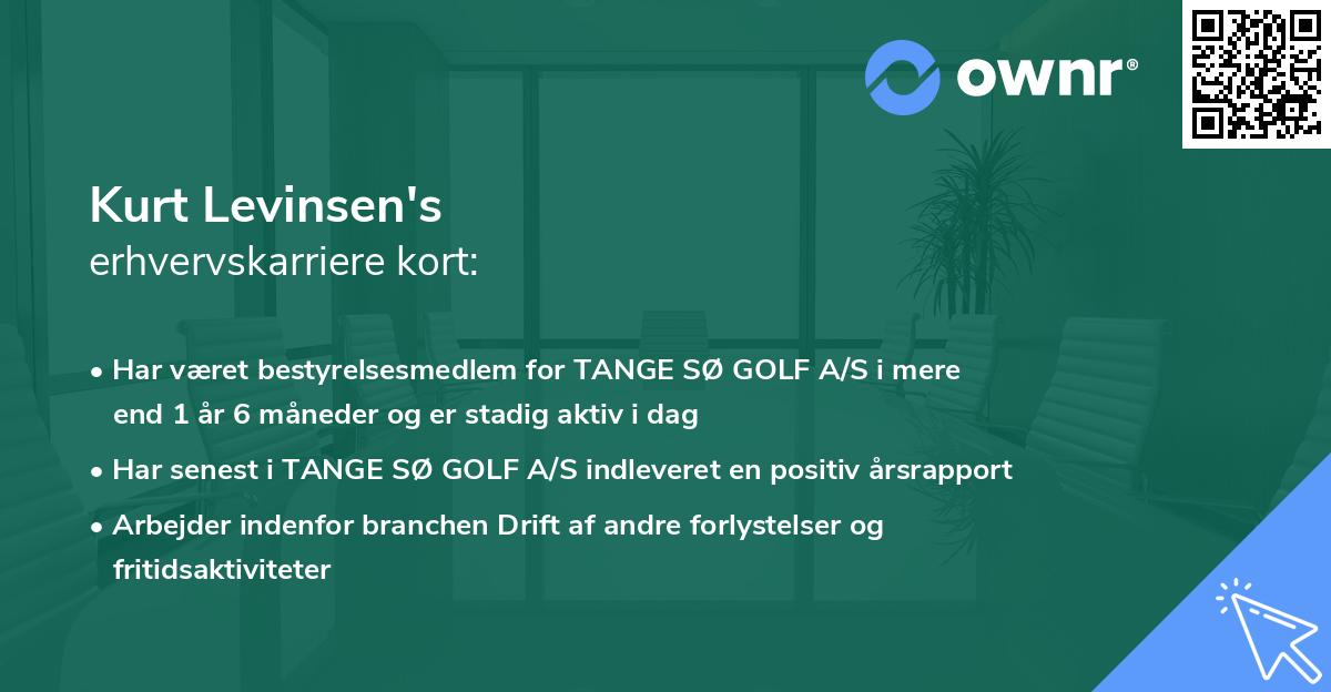 Kurt Levinsen's erhvervskarriere kort