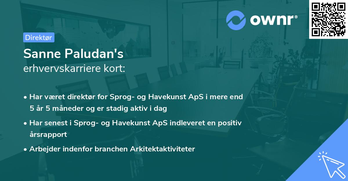 Sanne Paludan's erhvervskarriere kort