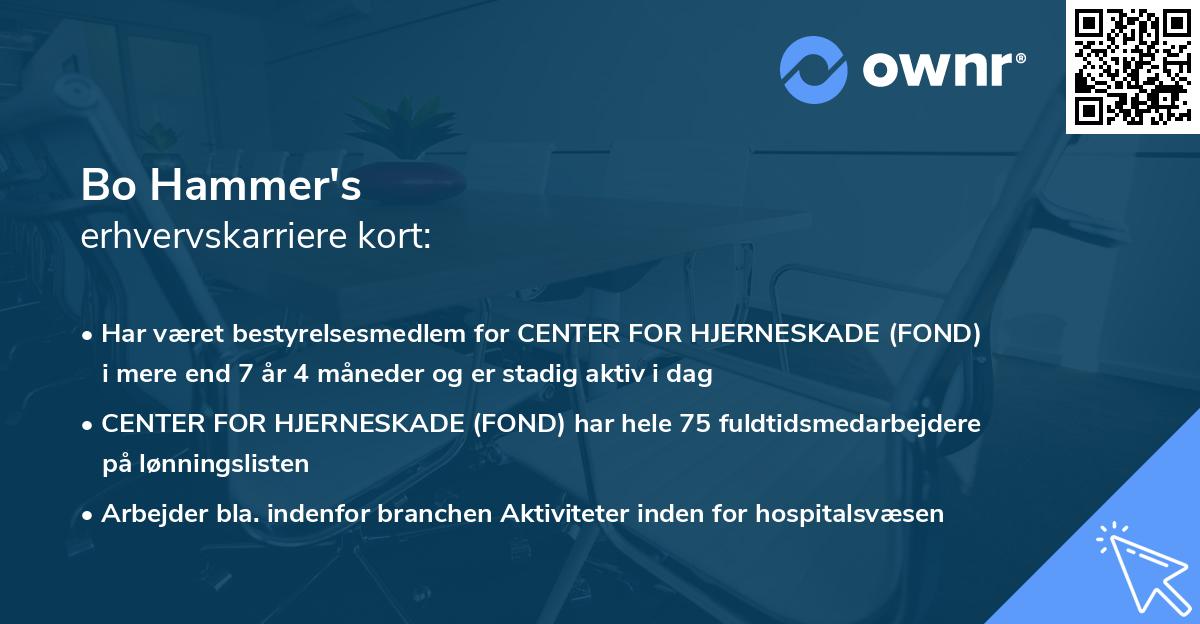 Bo Hammer's erhvervskarriere kort