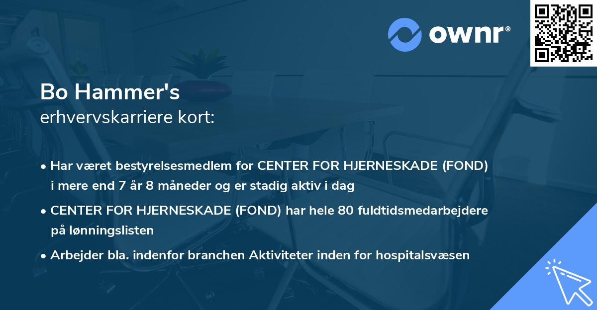Bo Hammer's erhvervskarriere kort