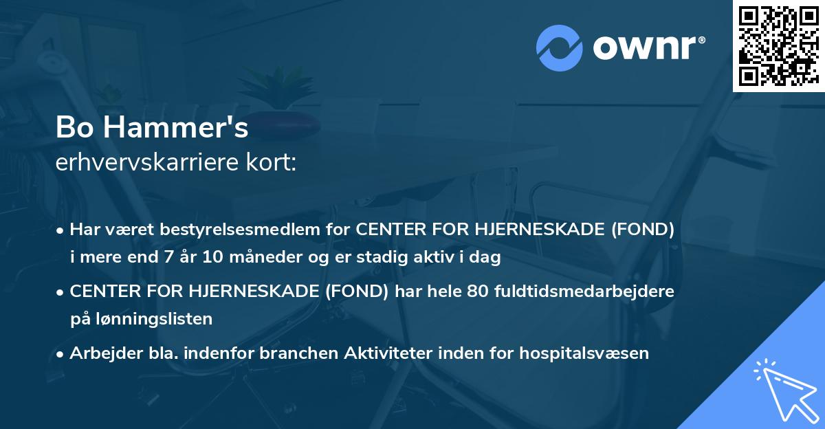 Bo Hammer's erhvervskarriere kort