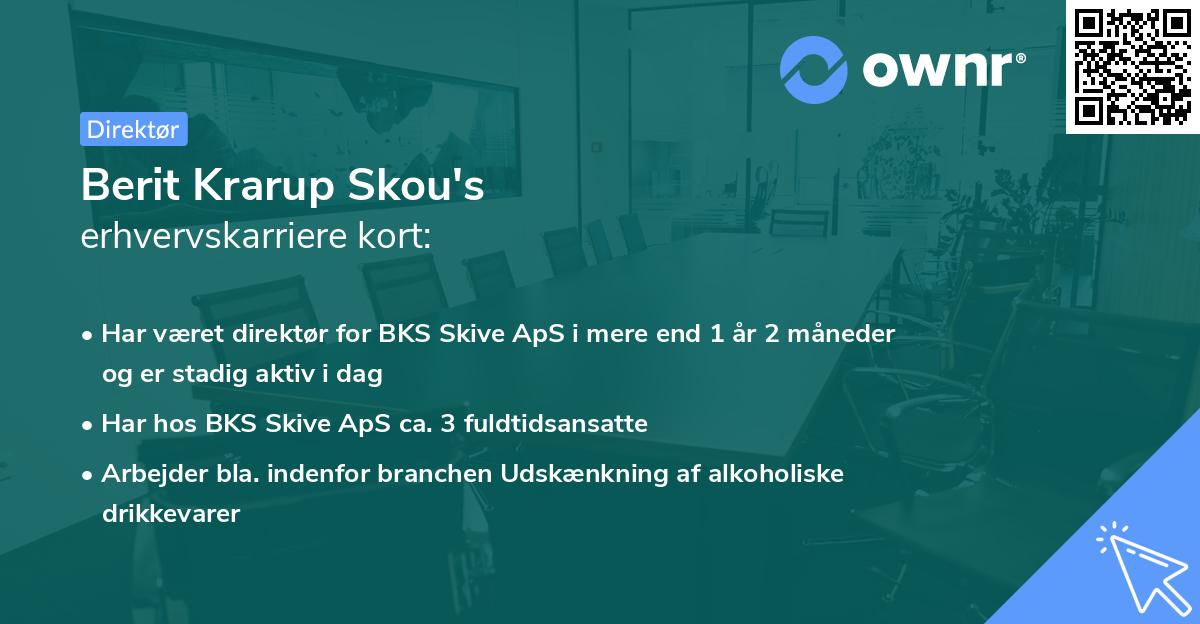 Berit Krarup Skou's erhvervskarriere kort