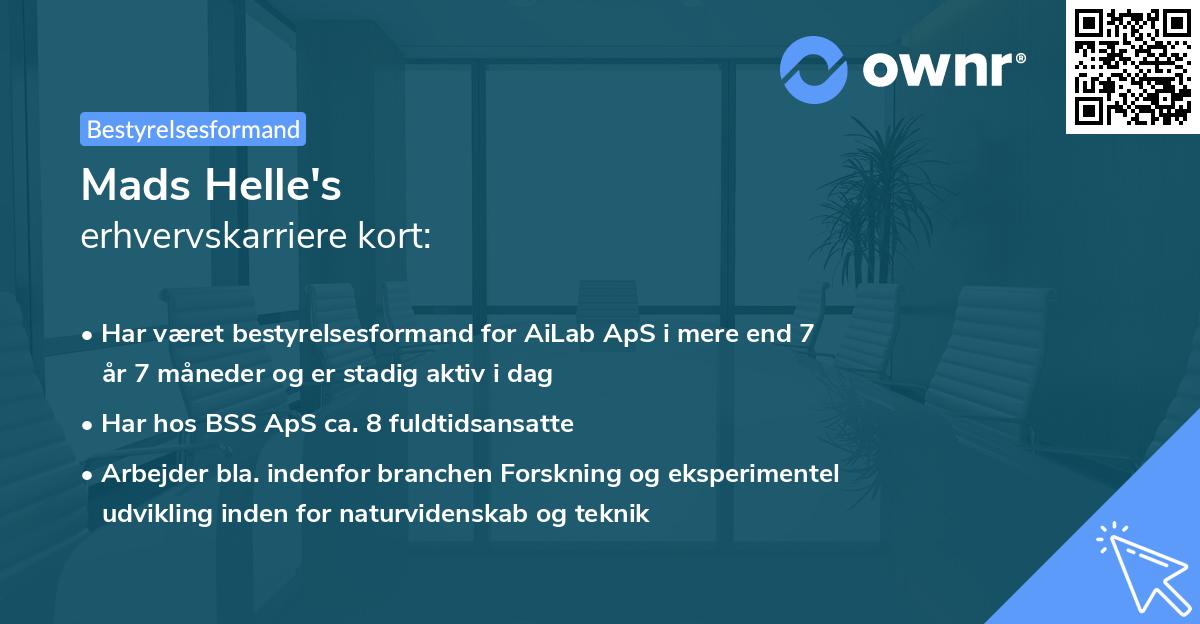 Mads Helle's erhvervskarriere kort