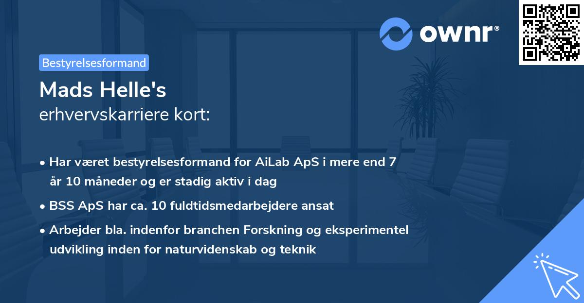 Mads Helle's erhvervskarriere kort