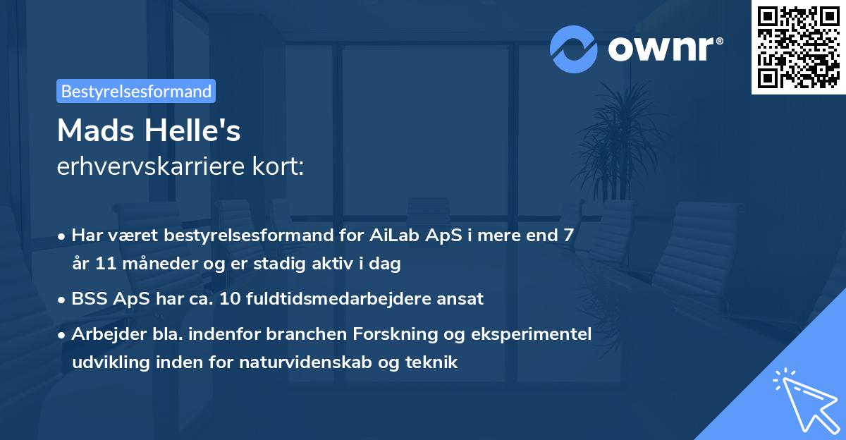 Mads Helle's erhvervskarriere kort