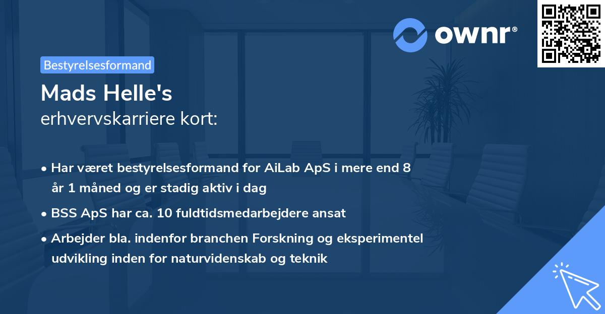 Mads Helle's erhvervskarriere kort
