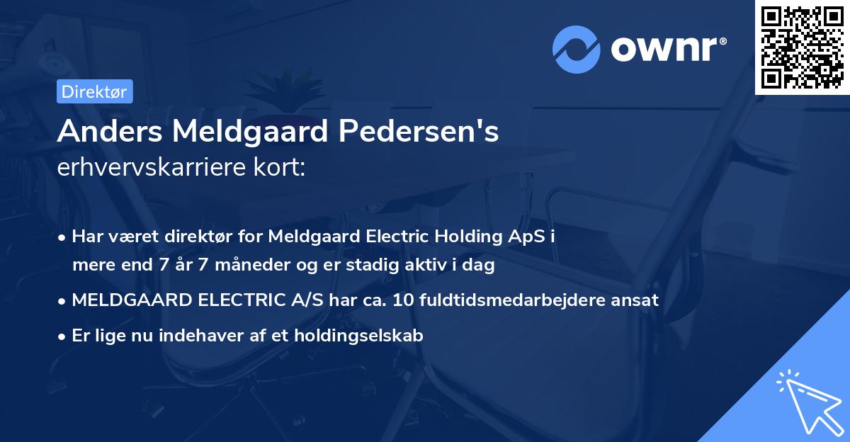 Anders Meldgaard Pedersen's erhvervskarriere kort