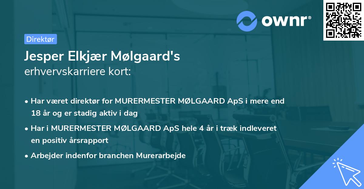 Jesper Elkjær Mølgaard's erhvervskarriere kort